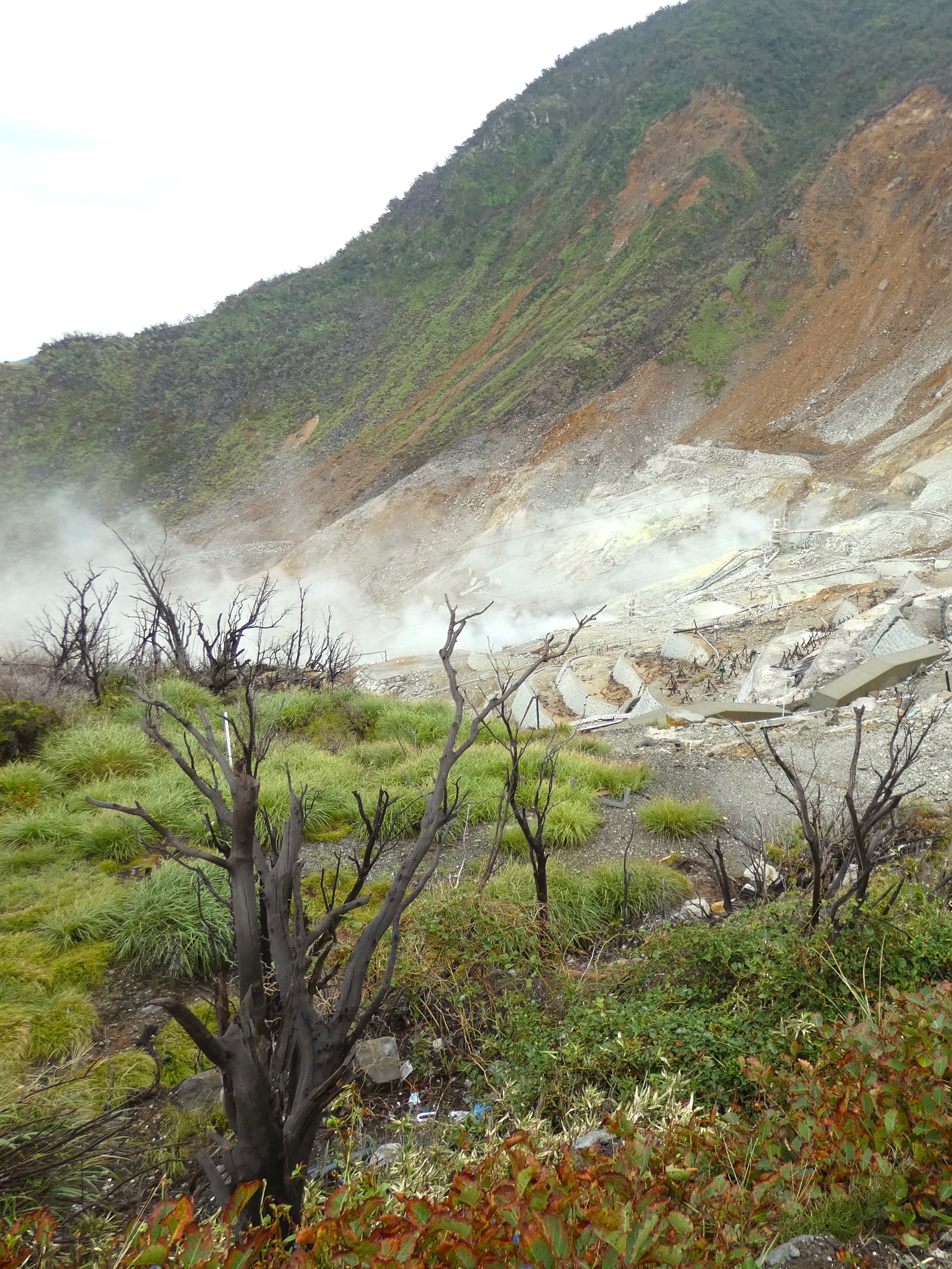 Japan Summer 2025 Photography
